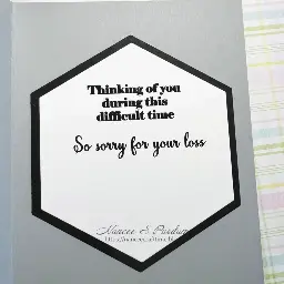 2026 - Sympathy DB — photo 3 of 3