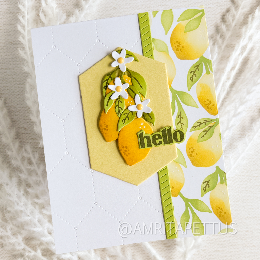helllo lemons TE — photo 1 of 1