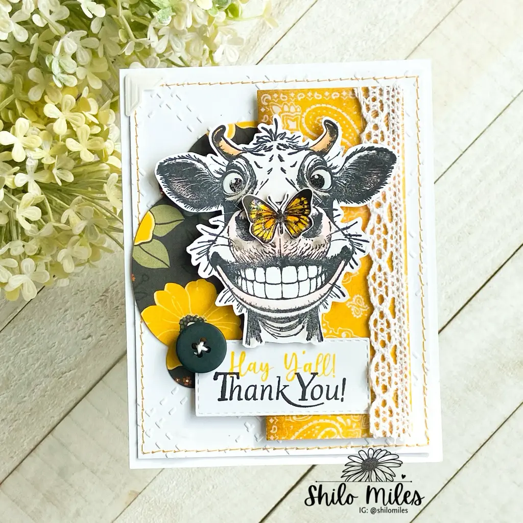 Hey Y’All - Thank You! — photo 1 of 2