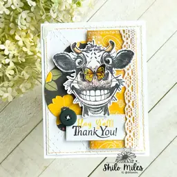 Hey Y’All - Thank You! — photo 1 of 2