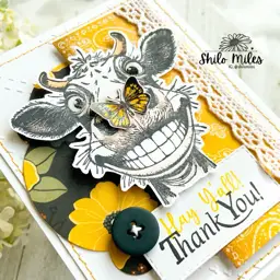 Hey Y’All - Thank You! — photo 2 of 2