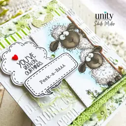Peek-A-Baa — photo 3 of 3