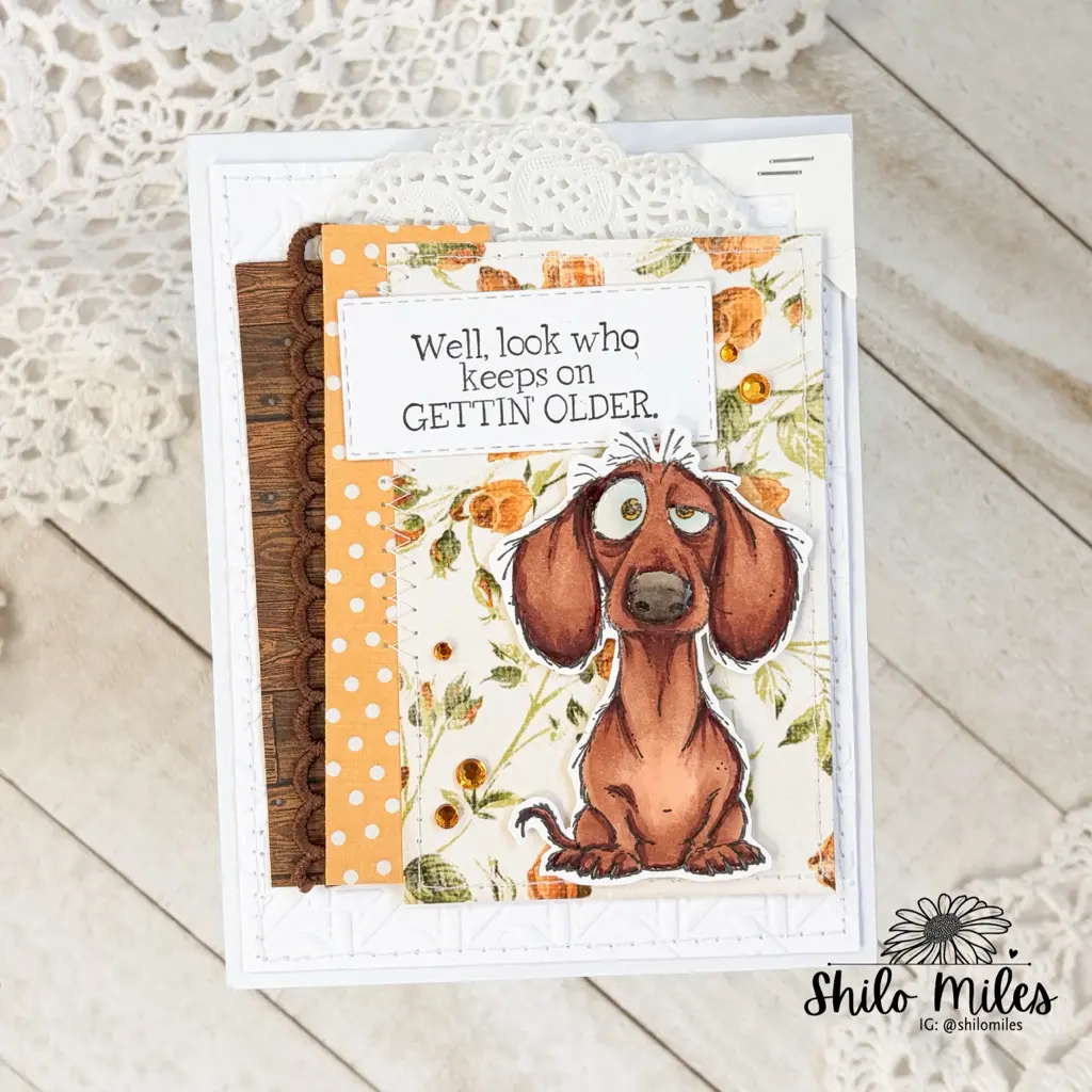 Well Look Who Keeps On Getting Older
Inspired by LIVE: Pattern Paper with Shilo: Why it Works? — photo 1 of 2