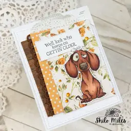 Well Look Who Keeps On Getting Older
Inspired by LIVE: Pattern Paper with Shilo: Why it Works? — photo 2 of 2
