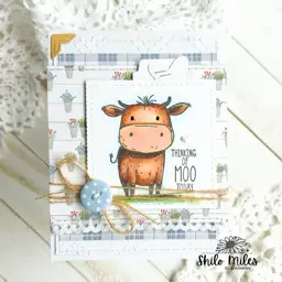 Thinking of Moo Today — photo 1 of 2