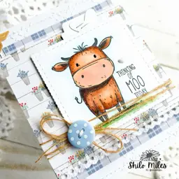 Thinking of Moo Today — photo 2 of 2