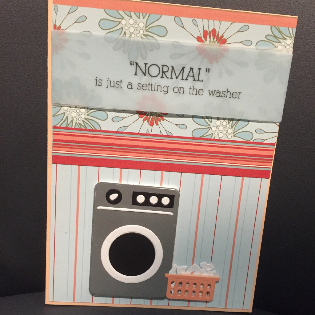 normal is just a setting on the washer — photo 1 of 1