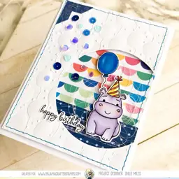 Happy Birthday (hippo) — photo 2 of 4