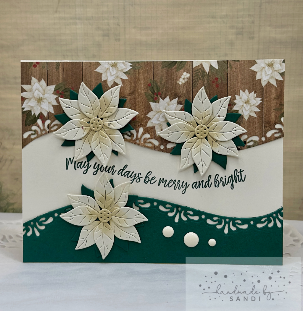 White Poinsettias — photo 1 of 1