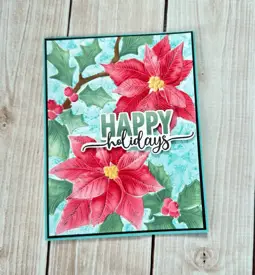 Red poinsettia