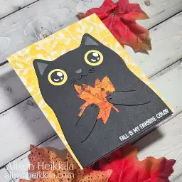 Fall is My Favorite Color — photo 2 of 3