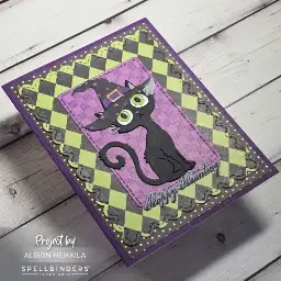Bewitched Kitty — photo 2 of 3