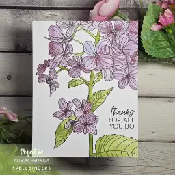 Thanks in Bloom — photo 1 of 3