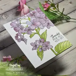 Thanks in Bloom — photo 2 of 3