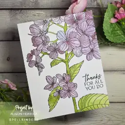 Thanks in Bloom — photo 3 of 3