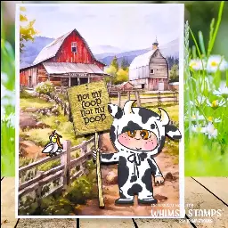 Not my coop card