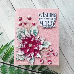 Snowy Poinsettia Christmas