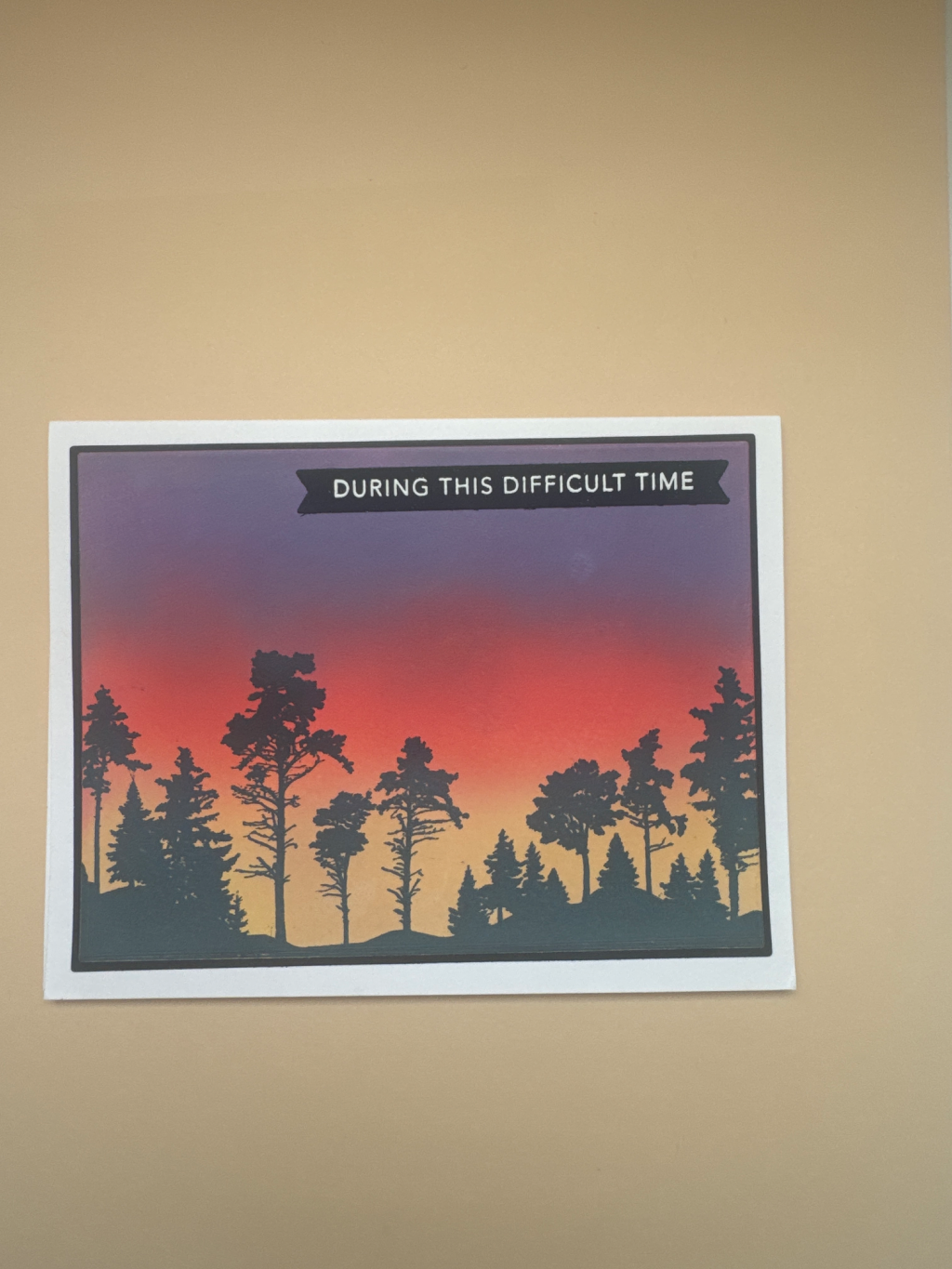 sympathy — photo 1 of 1