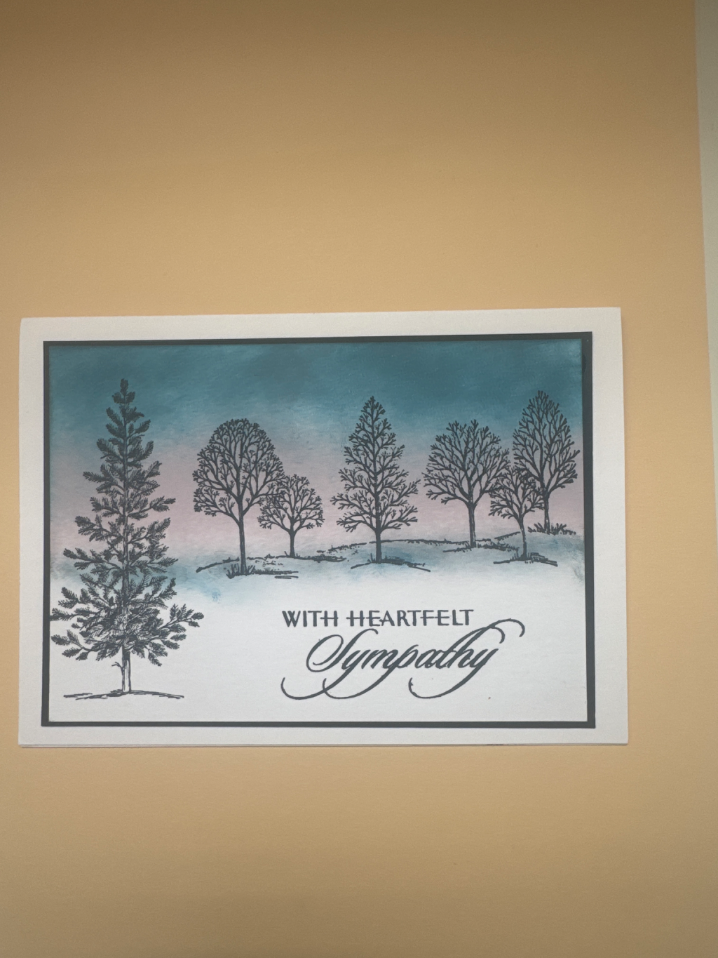 sympathy — photo 1 of 1