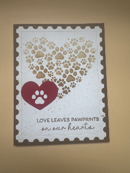 pet sympathy — photo 1 of 3