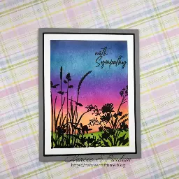 2026 - Sympathy CI — photo 1 of 4