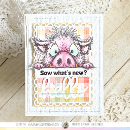 Sow...You Got Pork-tential Card Duo — photo 5 of 5