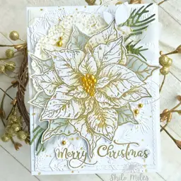 Merry Christmas Poinsettias — photo 2 of 5