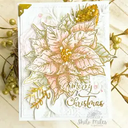 Merry Christmas Poinsettias — photo 5 of 5