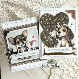 FOUR Dog Cards - TWO Videos — photo 1 of 10