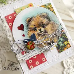 FOUR Dog Cards - TWO Videos — photo 3 of 10