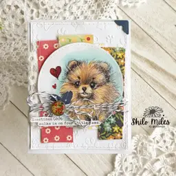 FOUR Dog Cards - TWO Videos — photo 4 of 10