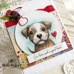 FOUR Dog Cards - TWO Videos — photo 5 of 10