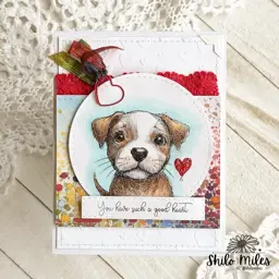 FOUR Dog Cards - TWO Videos — photo 6 of 10