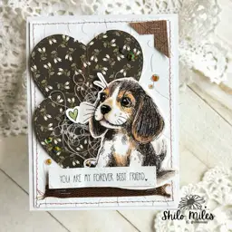 FOUR Dog Cards - TWO Videos — photo 7 of 10