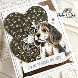 FOUR Dog Cards - TWO Videos — photo 8 of 10