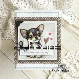 FOUR Dog Cards - TWO Videos — photo 9 of 10