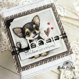 FOUR Dog Cards - TWO Videos — photo 10 of 10