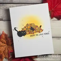 Kitties in the Leaves — photo 3 of 3