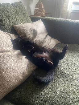 Home Is Where You Are — photo 6 of 6