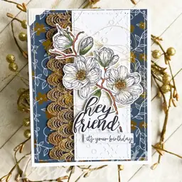 Hey Friend…it’s your birthday — photo 1 of 4