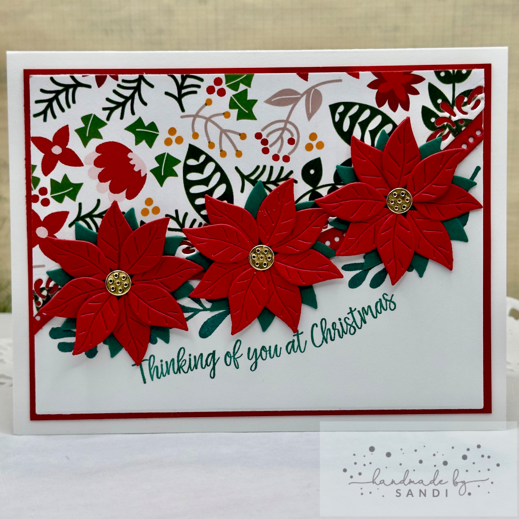 Poinsettias — photo 1 of 1