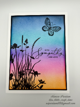 2026 - Sympathy (SD) — photo 2 of 6