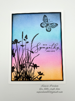 2026 - Sympathy (SD) — photo 5 of 6