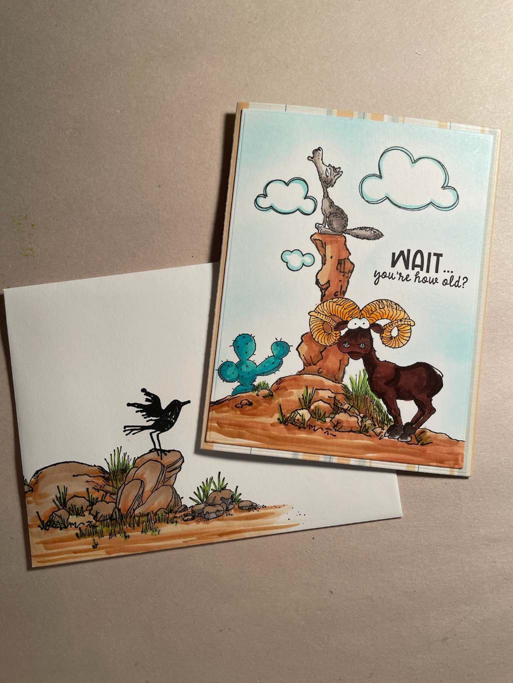 southwest critters — photo 1 of 6