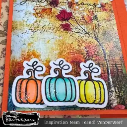 Hello Gourd-geous — photo 2 of 2