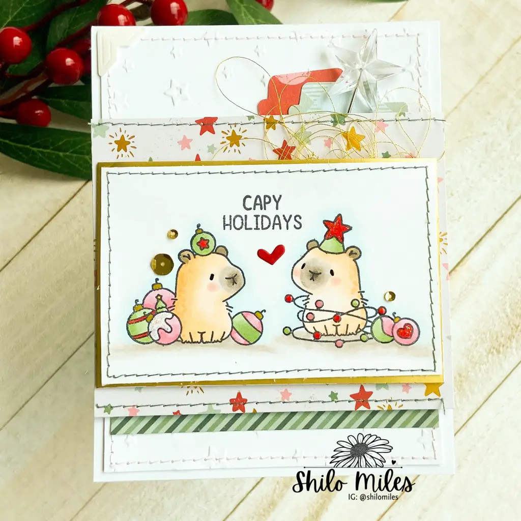 Capy Holidays — photo 1 of 2